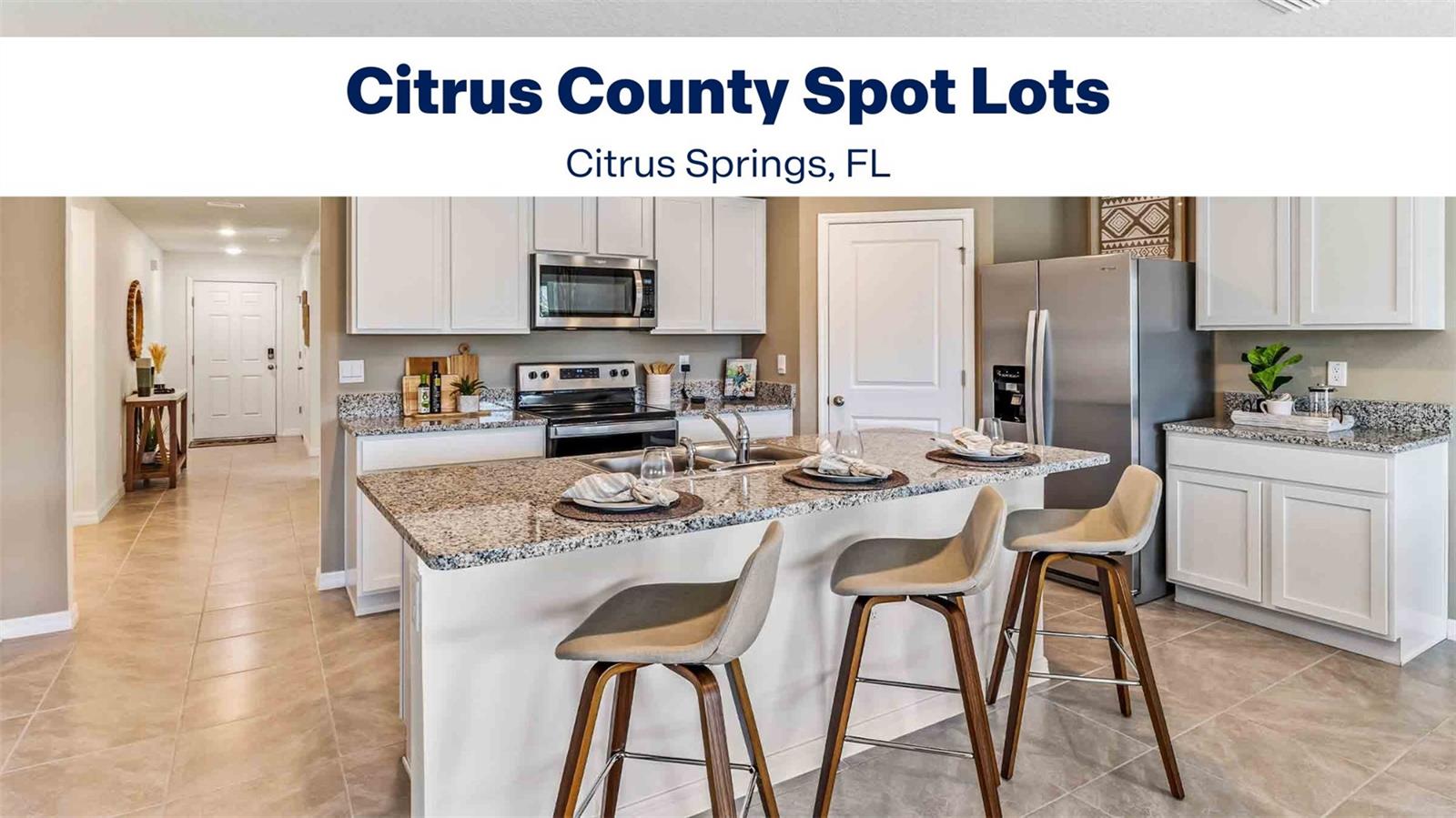 CITRUS SPRINGS - Residential