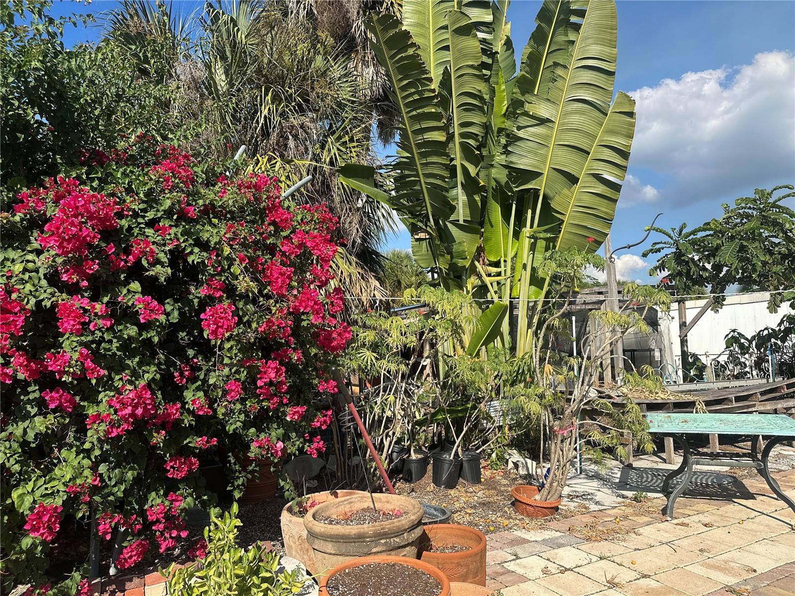 NOKOMIS PARK - Commercial Sale