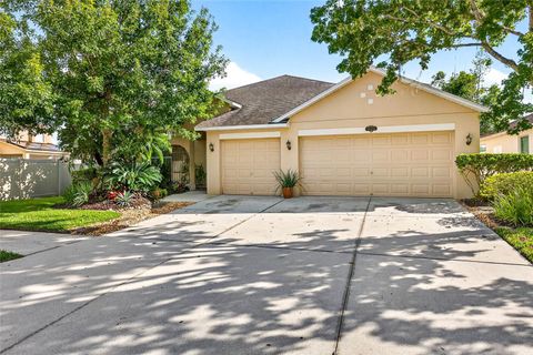 10859 BREAKING ROCKS DRIVE TAMPA FL 33647