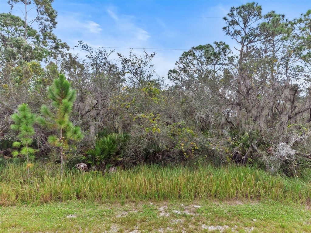 Photo of 545 Washington Place, Lake Placid, FL 33852 (MLS # P4936666)