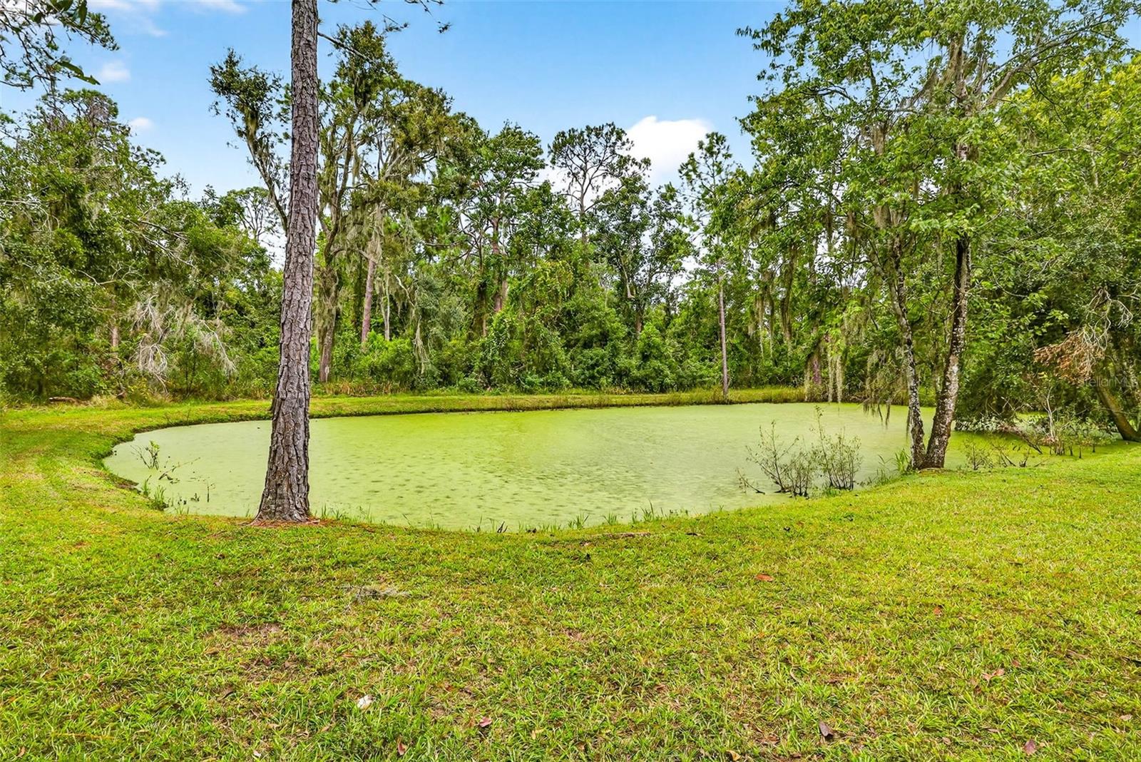 VIRGINIA ACRES - Residential