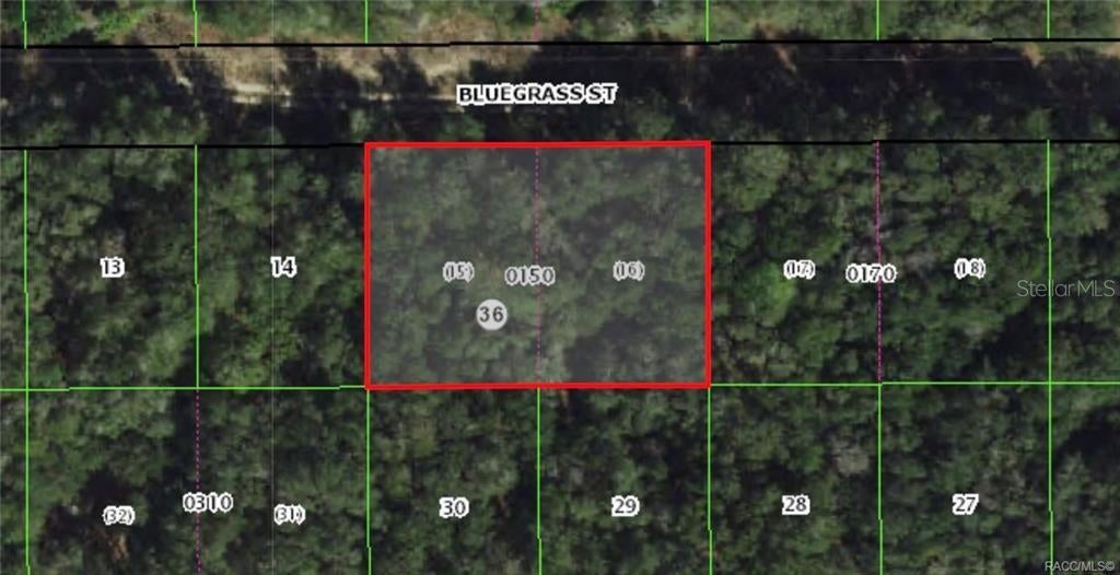 Photo of 2305 Bluegrass Street, Inverness, FL 34453 (MLS # OM726249)