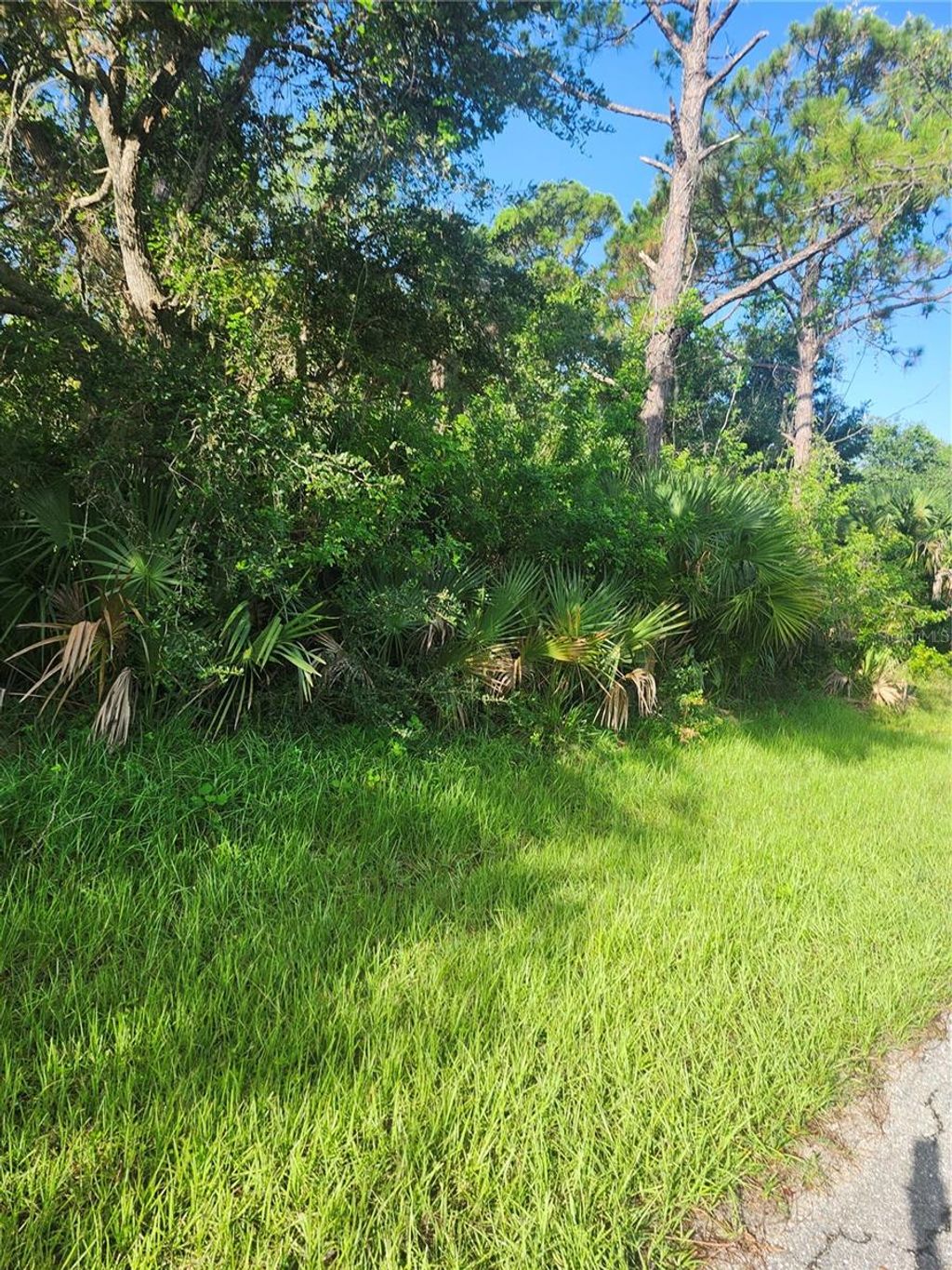 Photo of 18185 Poston Ave, Port Charlotte, FL 33948 (MLS # OM706736)