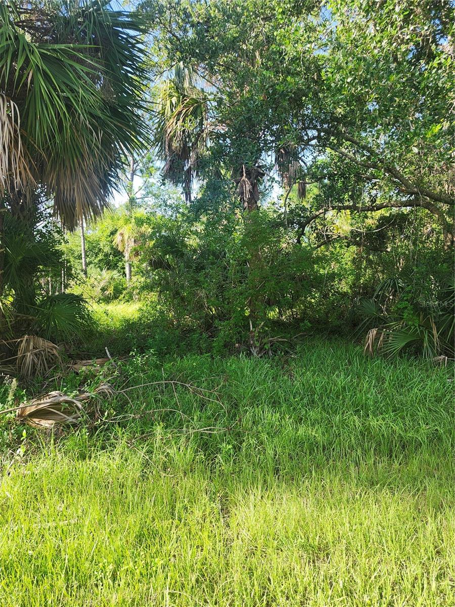 Buyer and/or buyer’s agent to verify all zoning, dimensions, and utility access with Charlotte County. Not in a scrub jay zone by the county map at time of listing, but confirm with latest GIS or Fish & Wildlife. Adjacent lot at 18193 Poston Avenue also for sale by same owner—can be sold individually or as a package deal. Great opportunity for builders or investors looking for multiple homesites. Submit offers via email to listing agent. Use FAR/BAR AS-IS contract.