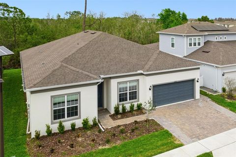 Tiny photo for 2502 Alligator Flag Court, Clermont, FL 34714 (MLS # O6390173)