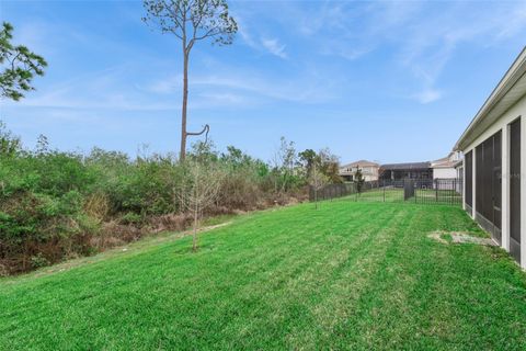 Tiny photo for 2502 Alligator Flag Court, Clermont, FL 34714 (MLS # O6390173)