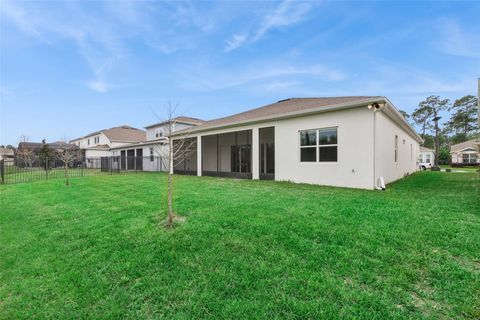 Tiny photo for 2502 Alligator Flag Court, Clermont, FL 34714 (MLS # O6390173)
