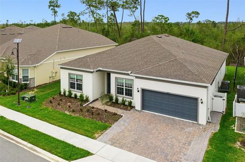 Tiny photo for 2502 Alligator Flag Court, Clermont, FL 34714 (MLS # O6390173)
