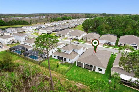 Tiny photo for 2502 Alligator Flag Court, Clermont, FL 34714 (MLS # O6390173)