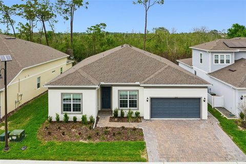 Photo of 2502 Alligator Flag Court, Clermont, FL 34714 (MLS # O6390173)