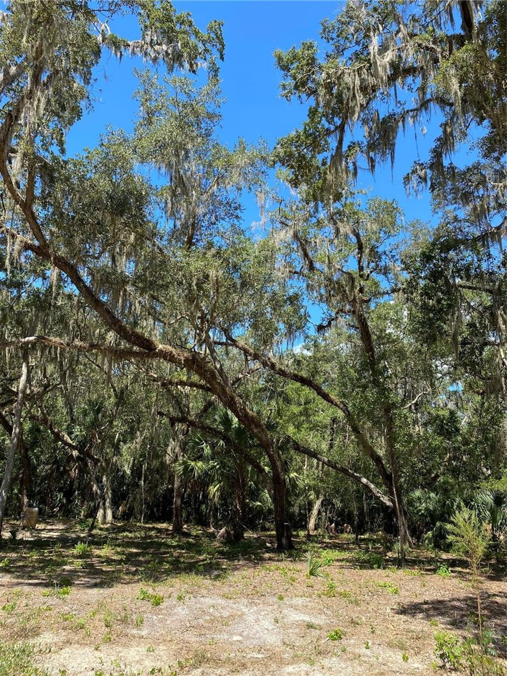Photo of 12641 W Amur Maple Place, Crystal River, FL 34428 (MLS # O6347468)