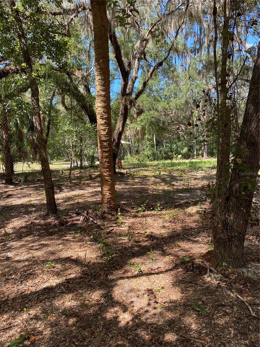 CRYSTAL MANOR UNIT 02 - Land