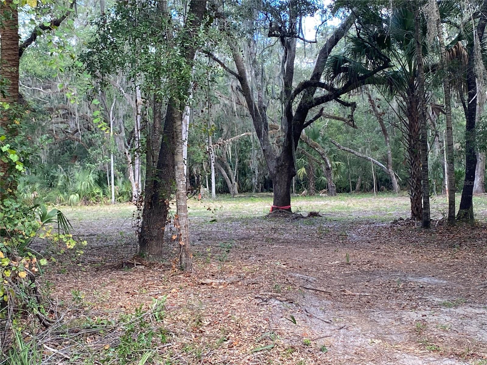 CRYSTAL MANOR UNIT 02 - Land