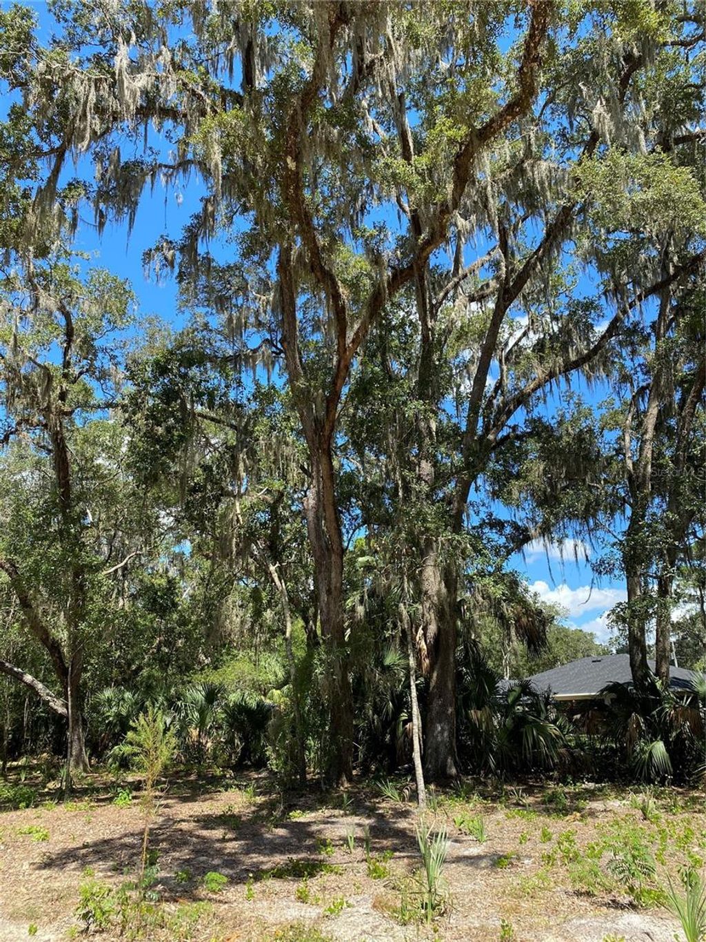 Photo of 12641 W Amur Maple Place, Crystal River, FL 34428 (MLS # O6347468)