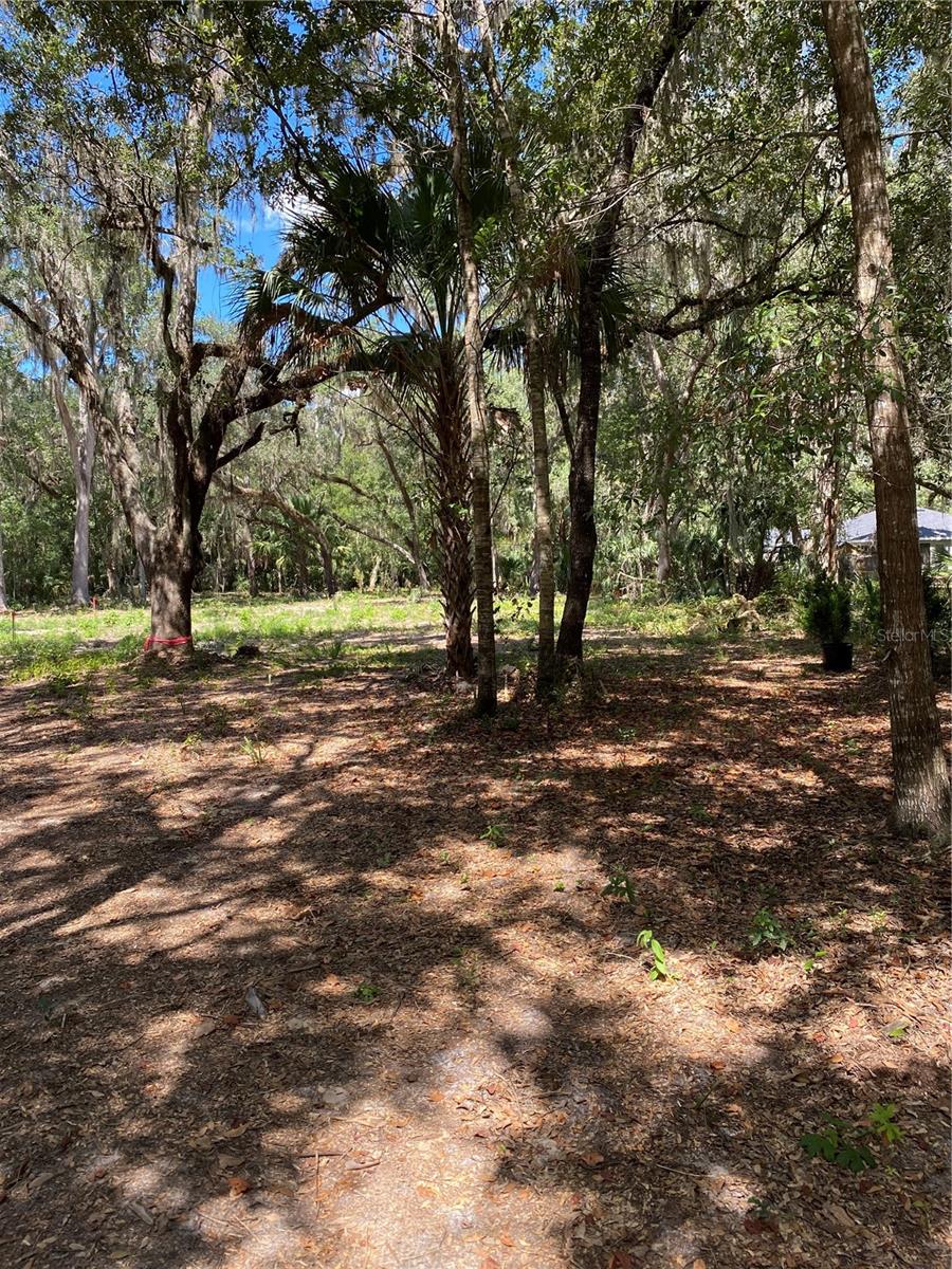 CRYSTAL MANOR UNIT 02 - Land