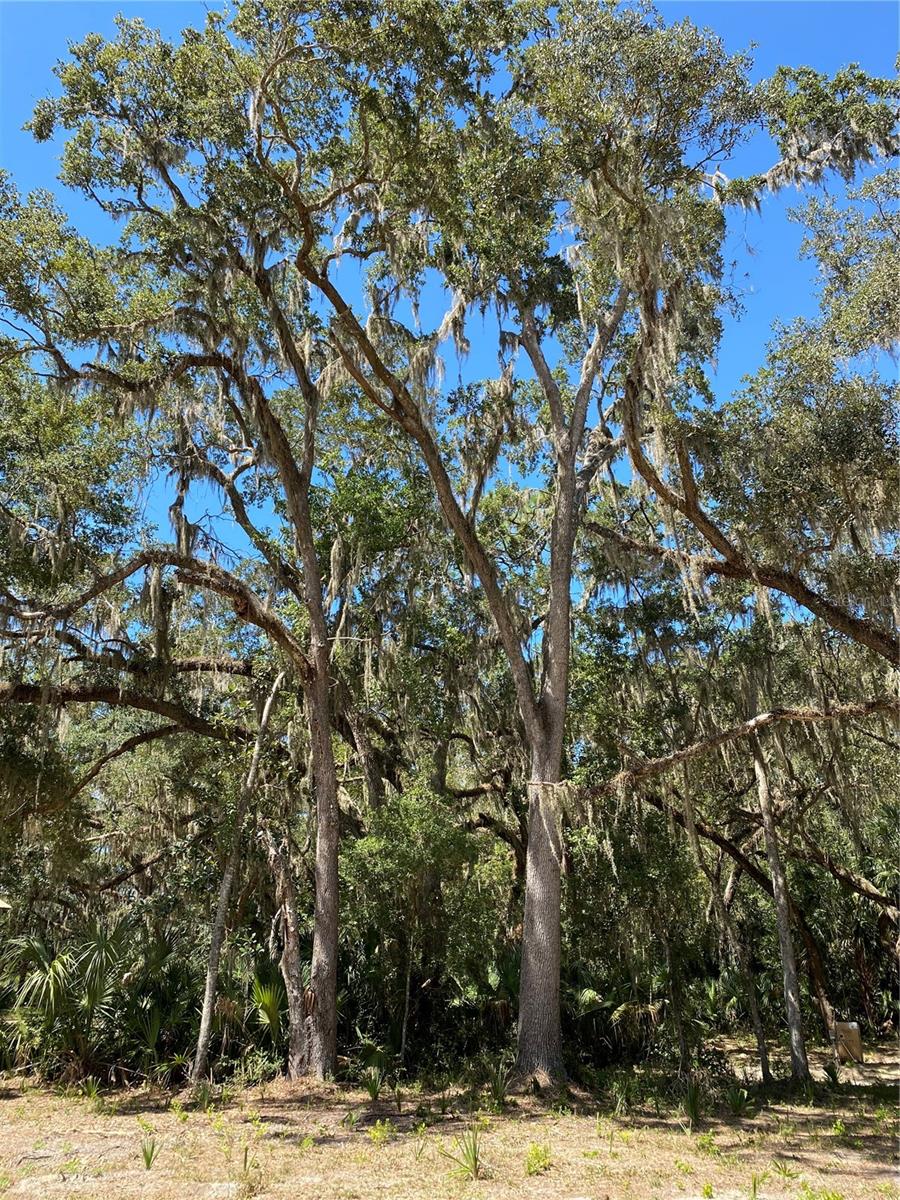 CRYSTAL MANOR UNIT 02 - Land