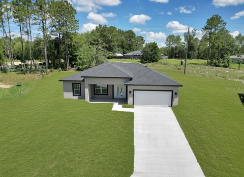 Photo of 2705 W Royal Palm Drive, Citrus Springs, FL 34434 (MLS # TB8394784)