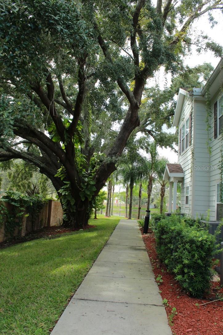 Photo of Kissimmee, FL 34746 (MLS # O6438058)