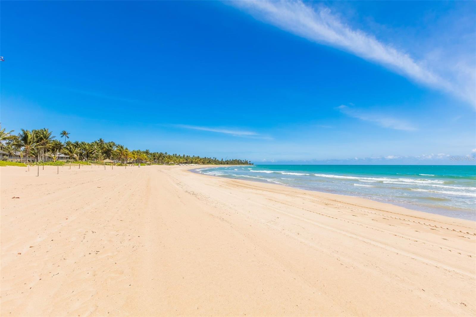 OCEAN DRIVE BAHIA BEACH - Residential