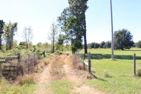 11307 CARTER ISLAND ROAD GROVELAND FL 34736