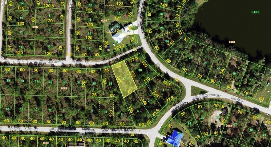 This .20-acre parcel provides the perfect canvas to build a single-family home in a growing Southwest Florida community. The lot offers a manageable size with enough room for a comfortable residence along with outdoor features such as a garden, patio, or pool.
Located near shopping, dining, and medical facilities, the property also benefits from quick access to I-75 and US-41 for convenient travel north to Sarasota or south to Fort Myers. Local marinas, parks, and Gulf Coast beaches are just a short drive away, making this location appealing for both full-time living and future investment.
Whether you’re ready to build now or secure land for later, this parcel represents an excellent opportunity in one of Florida’s most desirable regions.