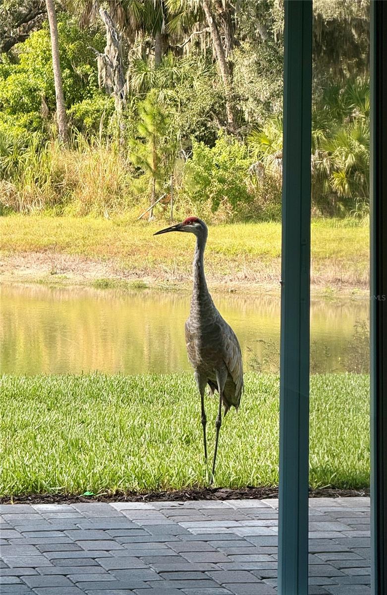 SEAIRE - Residential Lease