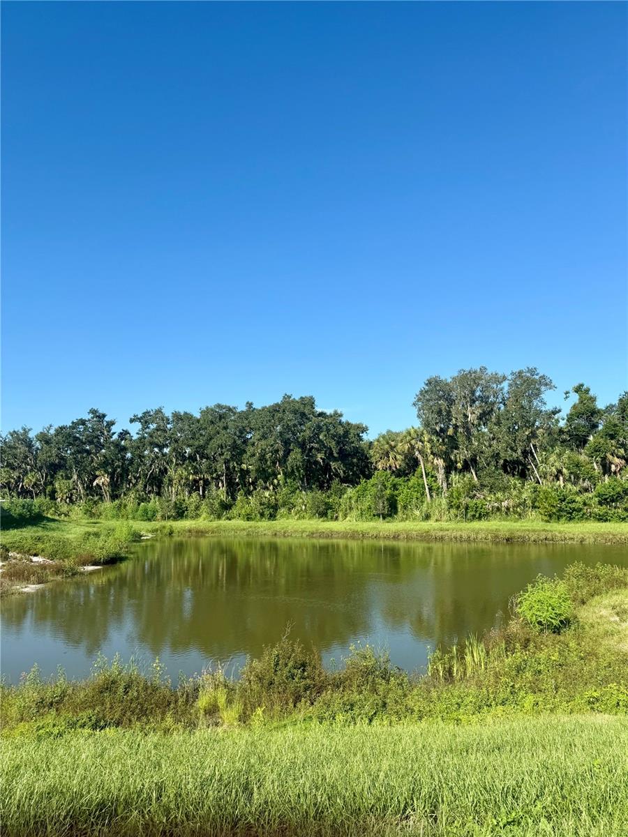 SEAIRE - Residential Lease