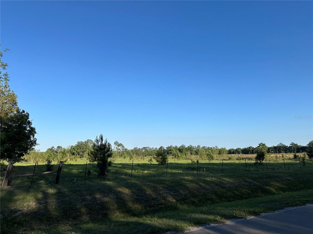 Photo of 00 SW County Rd 239, Lake Butler, FL 32054 (MLS # GC539725)