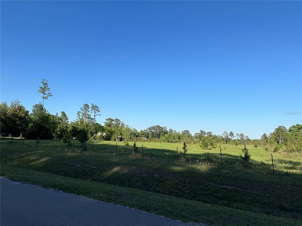 Photo of 00 SW County Rd 239, Lake Butler, FL 32054 (MLS # GC539725)
