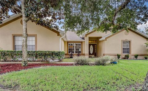 A home in EUSTIS