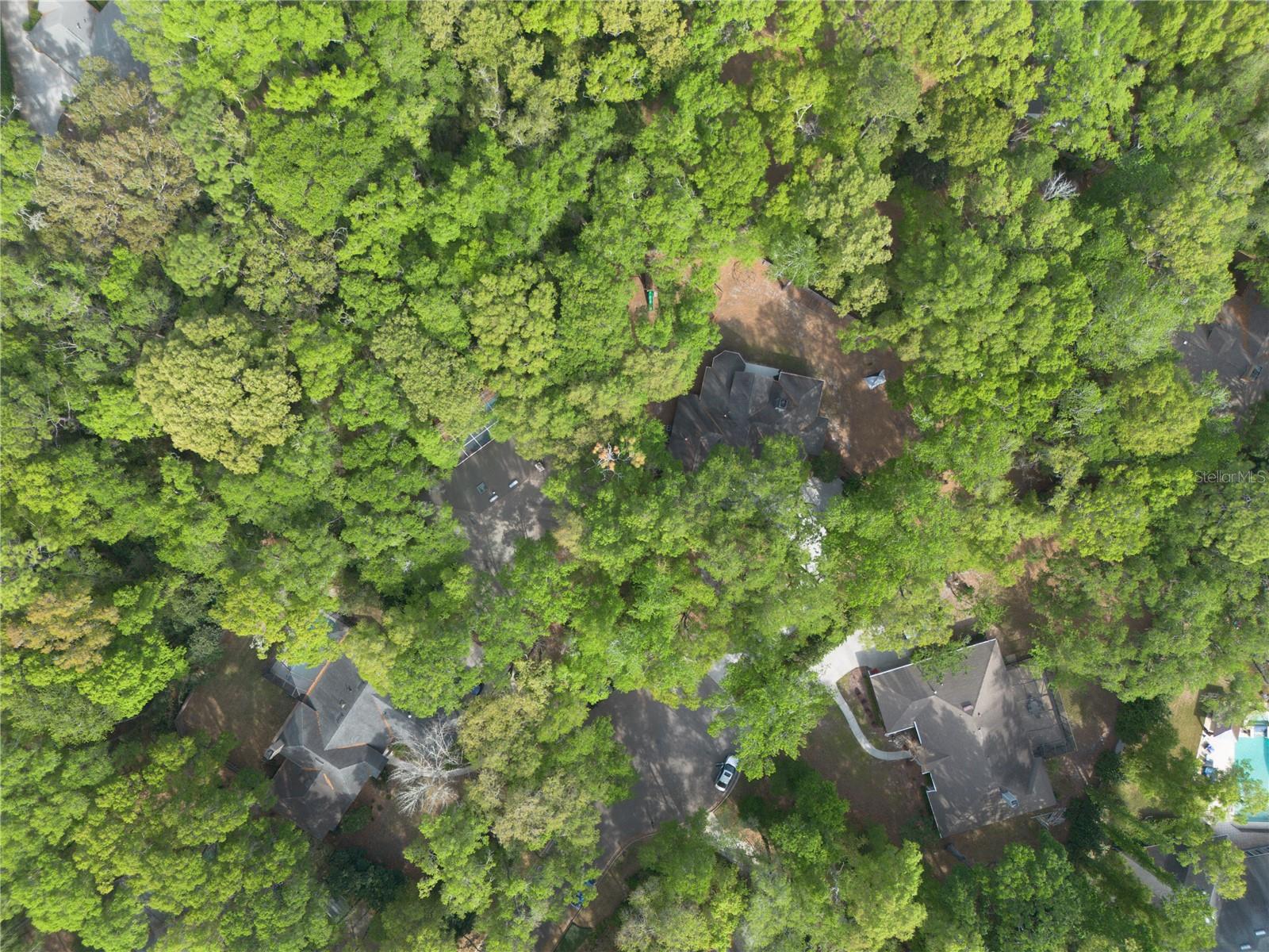 HAILE PLANTATION UNIT 8 PH II - Residential