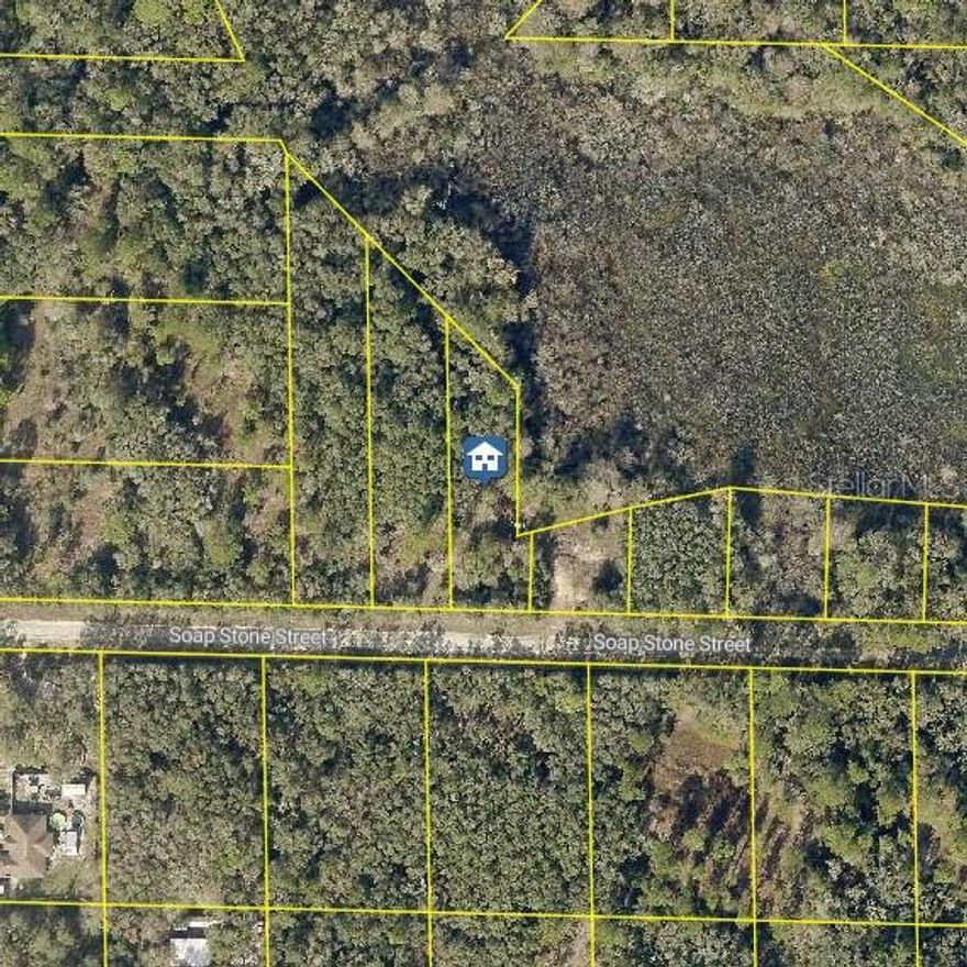 Discover the perfect spot for your dream home! This residential lot on Soap Stone St in Webster, FL offers the peace and privacy of country living while keeping you within easy reach of major roads and nearby towns. Nestled in a quiet neighborhood with beautiful natural surroundings, this property provides plenty of space for a custom home, workshop, or garden. No HOA and no CDD fees — just the freedom to design your ideal Florida lifestyle. Don’t miss this opportunity to own a piece of land in a growing area of Sumter County!