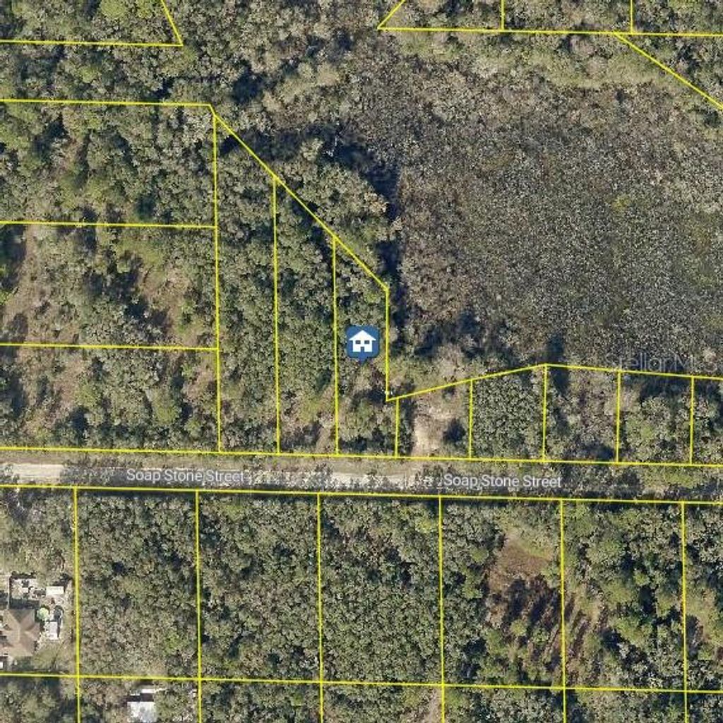 Photo of 37 Soap Stone Street, Webster, FL 33597 (MLS # W7880269)