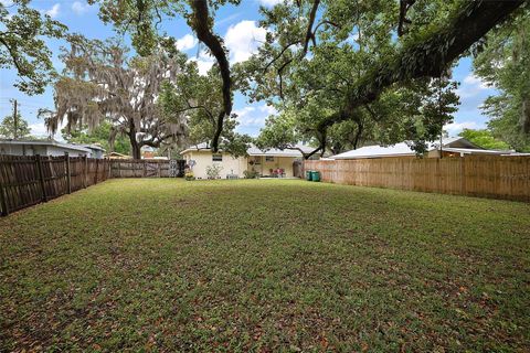 A home in MOUNT DORA