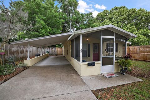 A home in MOUNT DORA