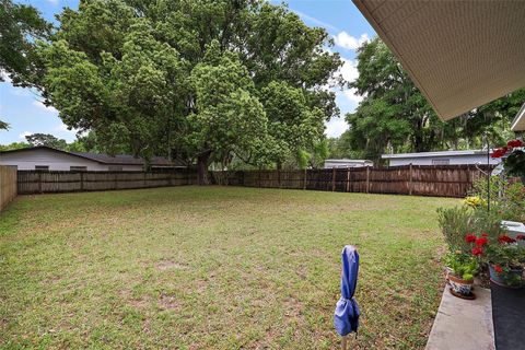 A home in MOUNT DORA