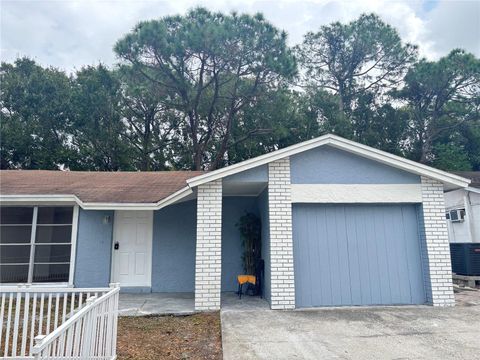 Photo of 10101 Springtree Court, Tampa, FL 33615 (MLS # A4674458)