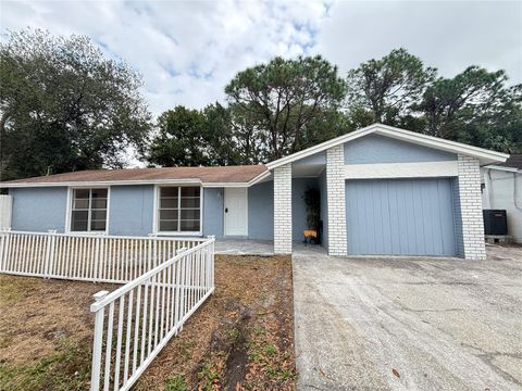 10101 SPRINGTREE COURT TAMPA FL 33615