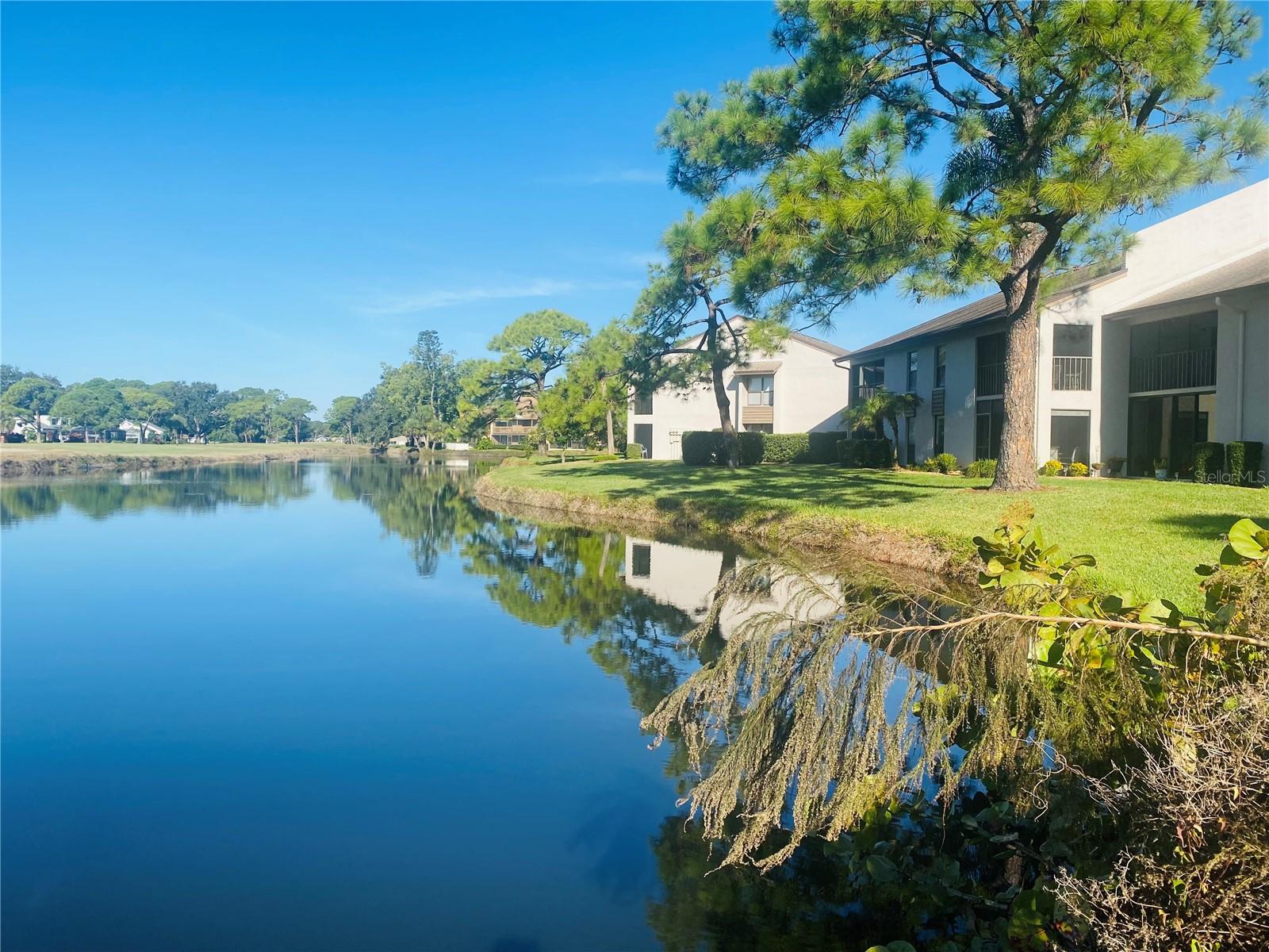 CHARTWELL GREEN - Residential