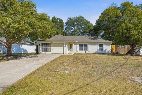 Photo of 9015 Gibralter Street, Spring Hill, FL 34608 (MLS # W7883042)