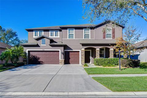 1521 BANNER ELK STREET VALRICO FL 33594