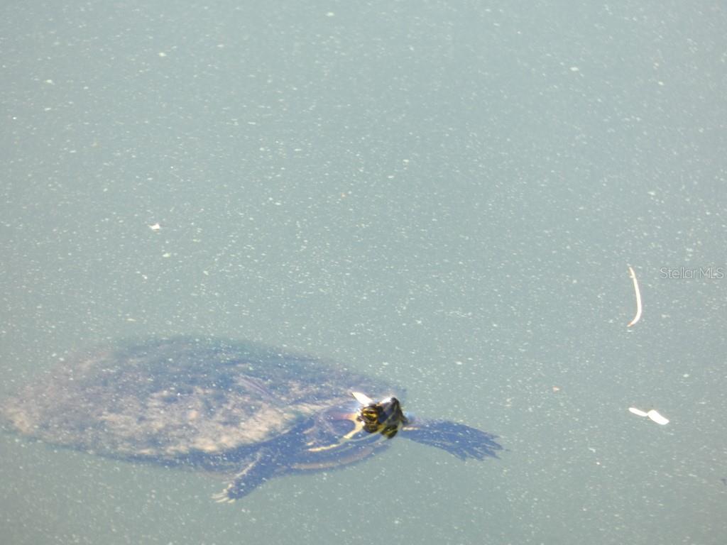 OAK LAKE PARK CONDO - Residential