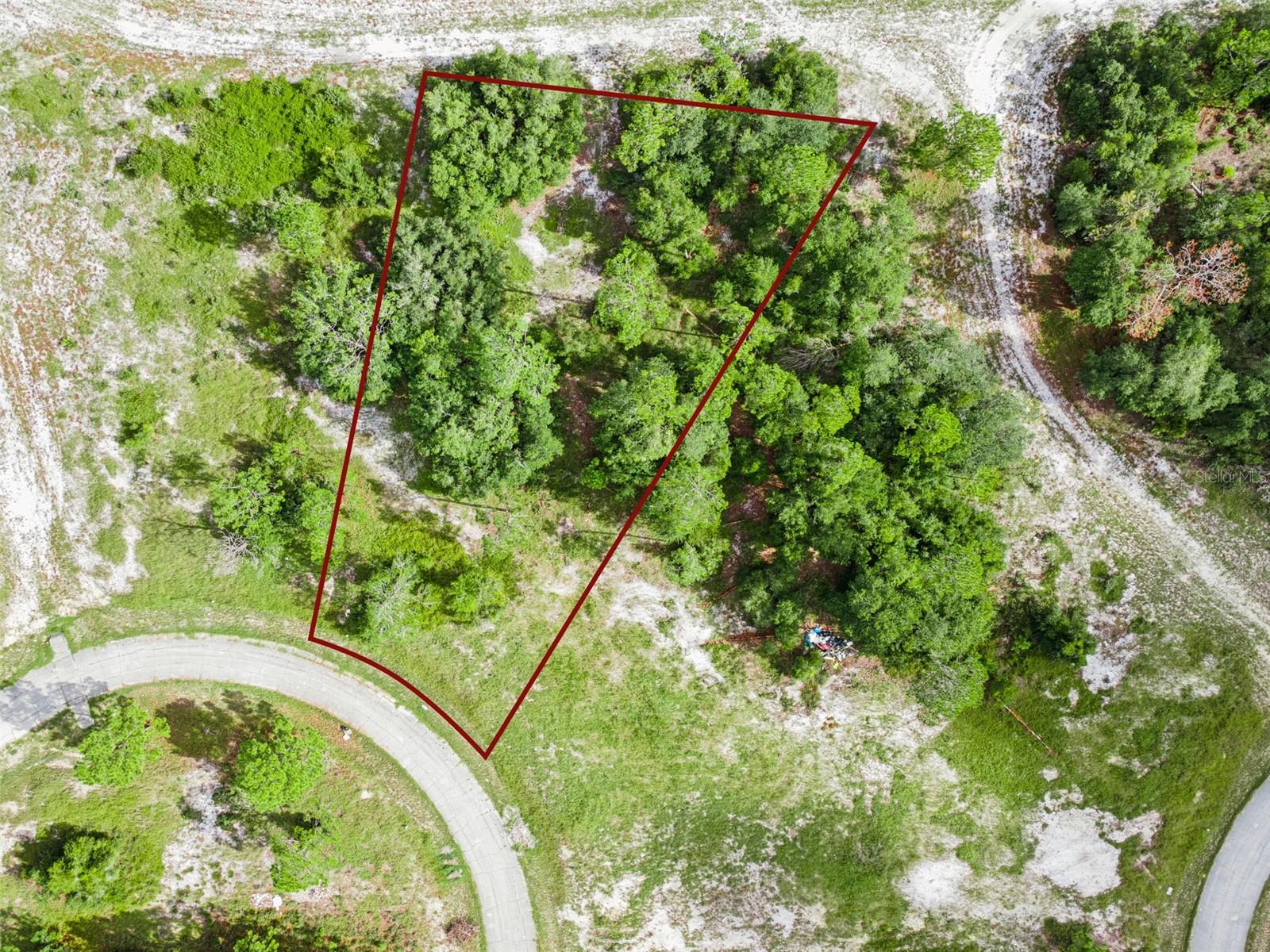 1319 HOMOSASSA COURT