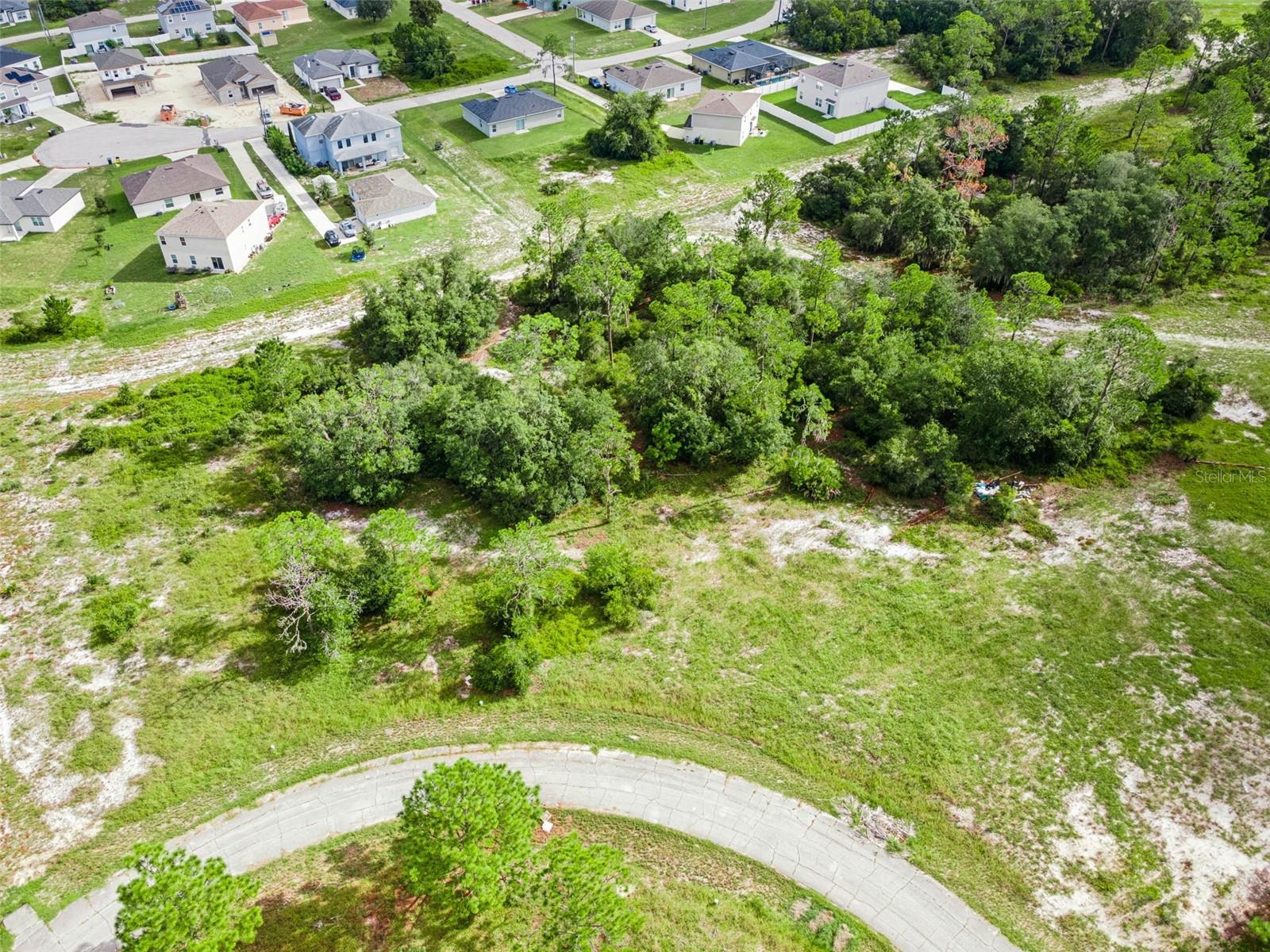 1319 HOMOSASSA COURT