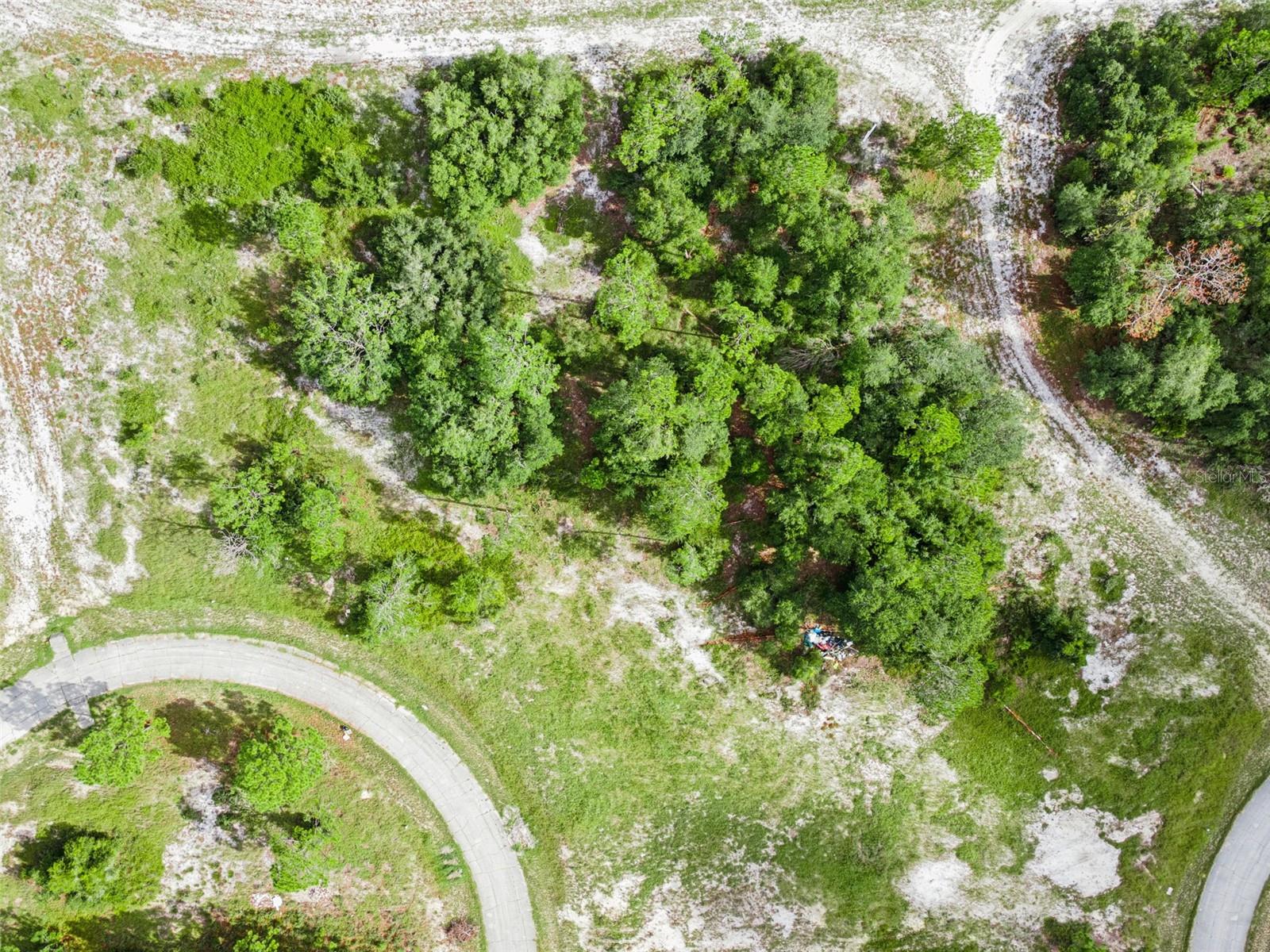 1319 HOMOSASSA COURT