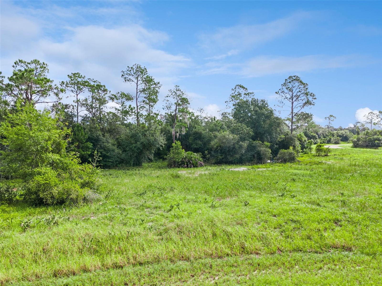 1319 HOMOSASSA COURT