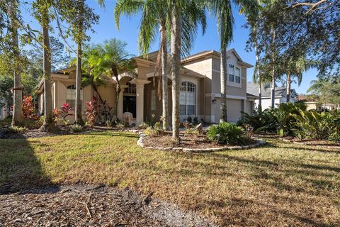 A home in TAMPA