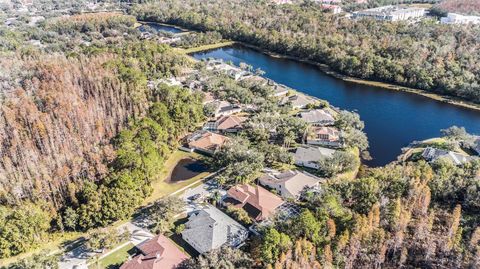 A home in TAMPA