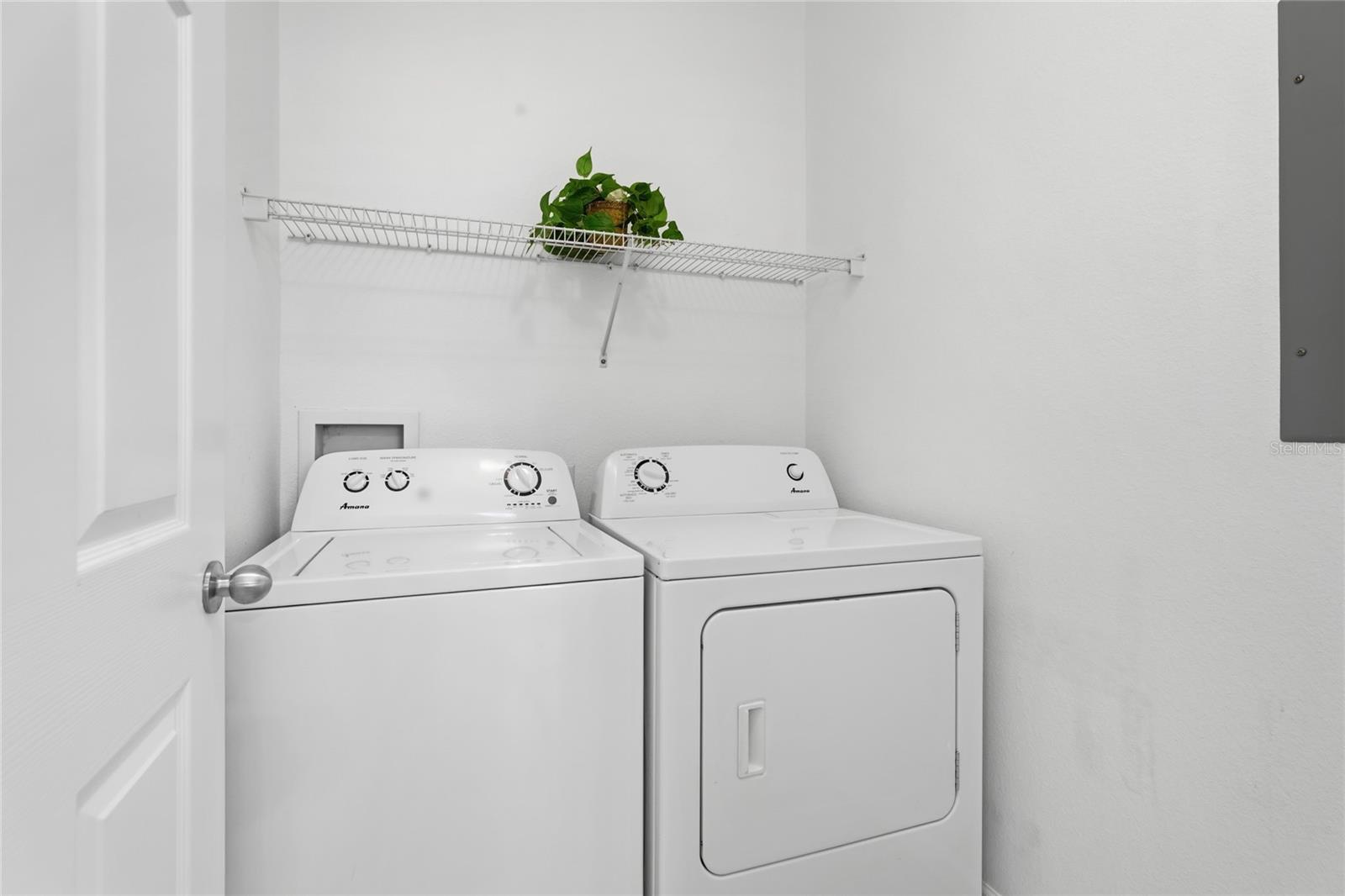 THE PALMS OF CORTEZ - Residential