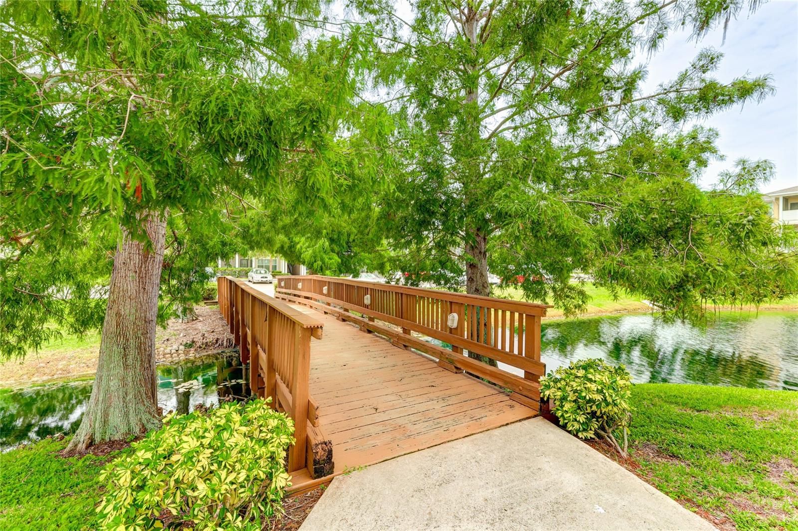 THE PALMS OF CORTEZ - Residential